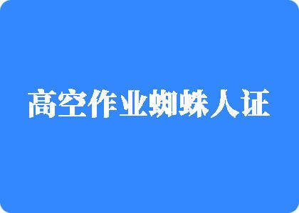 骚逼网址高空作业蜘蛛人证